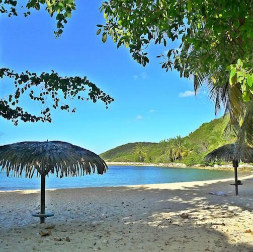 Cocoya * Saint-Francois (Grande-Terre)